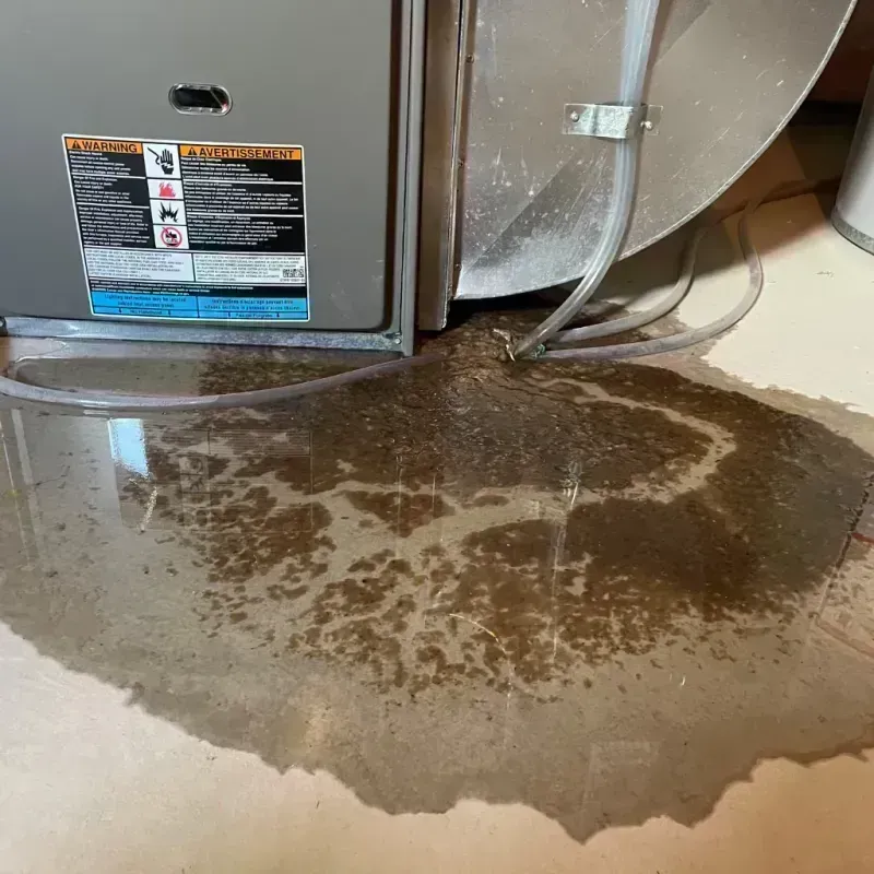 Appliance Leak Cleanup in Deer Valley, AZ